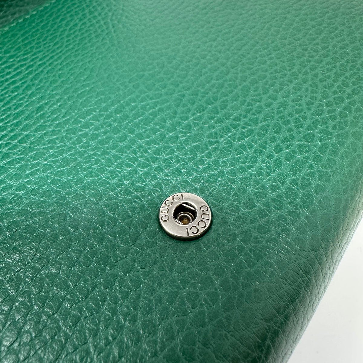 Gucci Dionysus Crossbody - Image 9